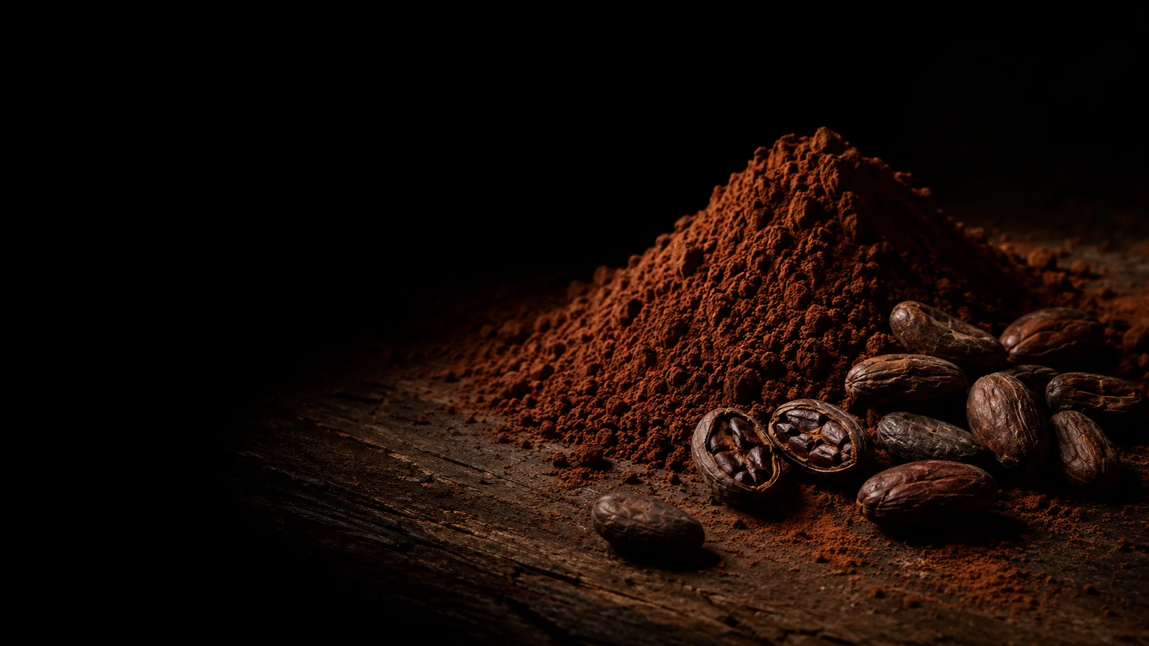 Cacao — Especias 51