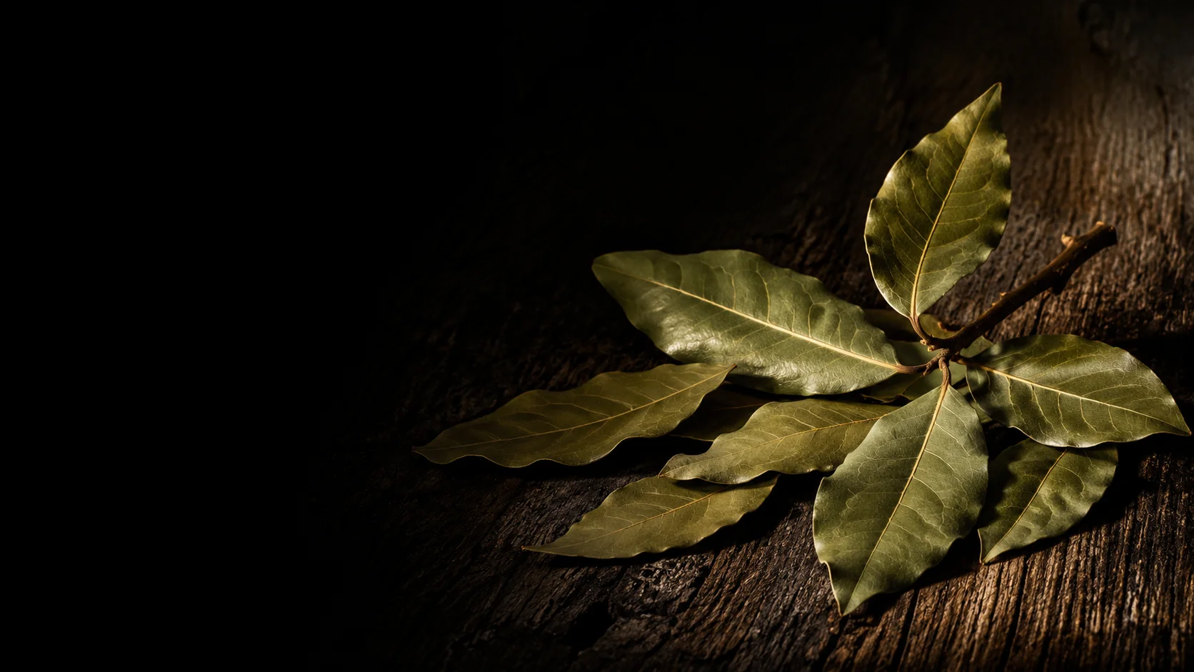Laurel — Especias 51